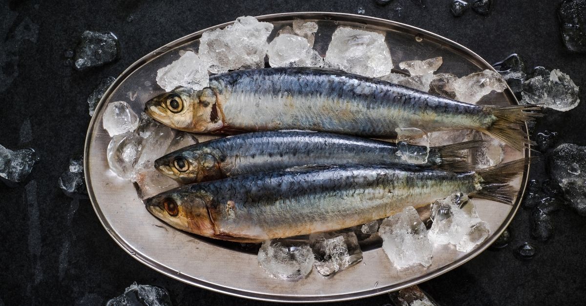 fish